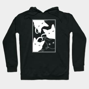 Cats Are Watching (white print) Hoodie